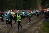 2016_02_BSV_Cross_Tangstedt_010.jpg