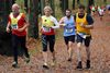 2015-11 BSV-Cross VolksparkNord 124.jpg