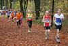 2015-11 BSV-Cross VolksparkNord 327.jpg