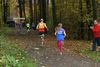 2015-11 BSV-Cross VolksparkNord 389.jpg